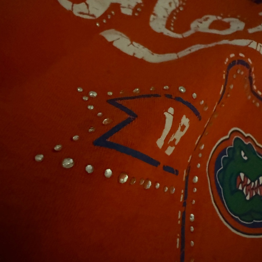 Florida Gators 🐊 Tee